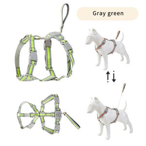 360. Guinzaglio Retrattile Anti-Groviglio per Cani con Fibra di Aramide, Nastro in Poliestere Resistente, Riflettente e Regolabile - Product Image 1
