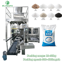 Machine de pesage, de remplissage et de scellage du sel de 25 kg à 50 kg, équipement d'emballage du sel