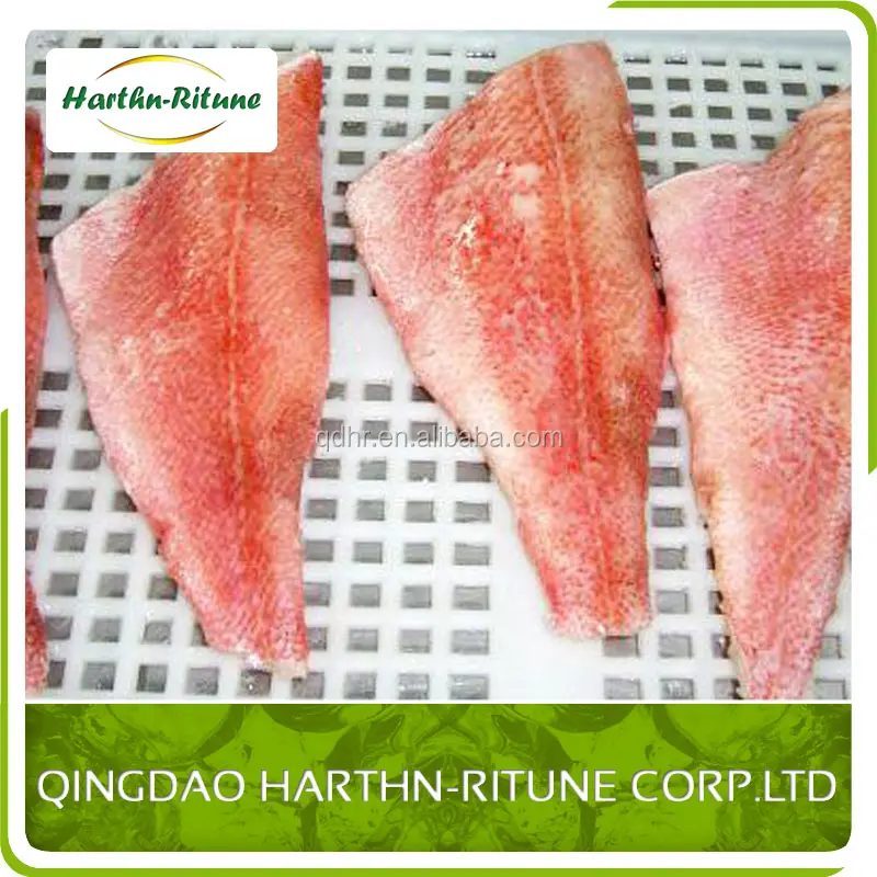 frozen redfish fillet