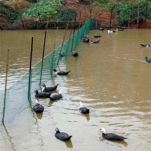 HDPE กรงนกตาข่ายพลาสติกตาข่ายสวนตาข่ายนกสําหรับต้นไม้ผลไม้ต่อต้านนกกระจอก - Product Image 5