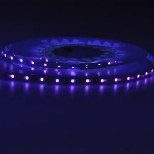 Niedriger Preis SMD LED-Streifen 60 leds pro Meter blau 12V für Wohnzimmer Urlaub Dekoration Beleuchtung