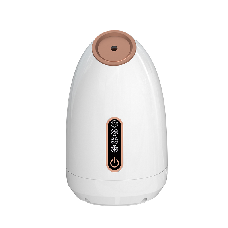 Портативный профессиональный распылитель, увлажнитель для лица, спа