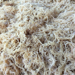 Vietnam Cottonii algues coralliennes feuilles de vagues séchées au soleil océan frais usage culinaire approvisionnement en vrac exportation directe qualité commerce mondial mer - Product Image 1