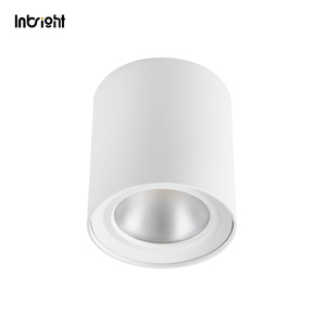 SAA Downlight LED montado en superficie Australia Dali Down Light 15W 30W 50W Foco comercial IP65 Spot Light - Product Image 2