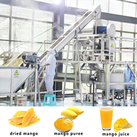Ligne de traitement industrielle de la pâte de mangue pour usine d'ingrédients de boulangerie, ligne automatique de fabrication de confiture de mangue, prise en charge de l'emballage multi-format