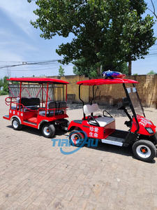 ゴルフカート2 + 6人乗りゴルフカート大人4輪バギー観光ゴルフカー中国 - Product Image 4