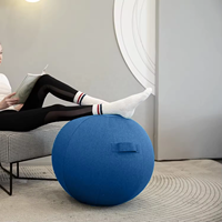 Housse de ballon de gym/yoga/fitness en tissu durable anti-éclatement PVC et plastique pour ballon de siège