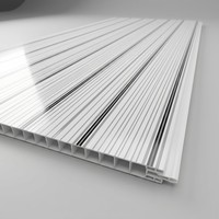 Paneles de Techo de PVC de Instalación Rápida, Revestimiento de Pared de Plástico Encastrable