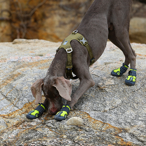 Truelove Most Popular Wholesale Reflective Heavy Duty Adjustable Waterproof Pet Product No Pull Recycled Dog <b>Harness</b> - Product Image 6