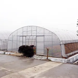 Invernadero agrícola con sistema de irrigación y cultivo hidropónico, invernadero agrícola con túnel de una sola extensión para cultivo de verduras