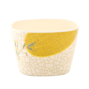 Xiangyuan <b>melamine</b> fast food <b>plate</b>, divided <b>plate</b>, creative commercial restaurant, hotel, canteen special <b>plate</b>, imitation - Product Image 5