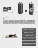 Carte d'amplificateur Dsp Dac de puissance audio numérique sans fil CL-100WB le module récepteur de source audio WiFi & BT HDM I