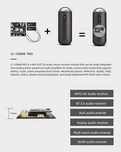 Carte d'amplificateur Dsp <span class=keywords><strong>Dac</strong></span> de puissance audio numérique sans fil CL-100WB le module récepteur de source audio WiFi & BT HDM I - Product Image 6