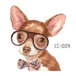 CC009