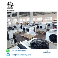 Solutions de refroidissement de l'unité de condensation de bloc mono complet de congélateur de plain-pied 2HP/3 HP R507a pour des magasins de fruit/cuisines commerciales
