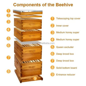 4 lớp bằng gỗ langstroth Bee Hive 100% sáp ong nhúng tổ ong với khung & Foundation (2 Deep & 2 vừa hộp) - Product Image 3