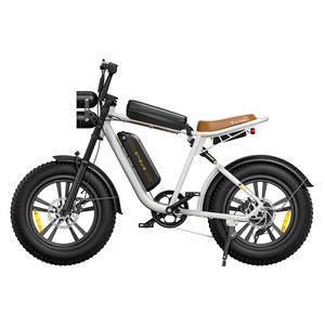 Vélo Électrique Engwe M20 VTT et Urbain en Stock Européen, Moteur Moyeu 48V 750W 55NM, Batterie 13Ah - Product Image 1