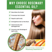 Huile de romarin 100% pure, brute, biologique, pressée à froid, pour la prévention de la perte de cheveux, réparation des cheveux, huile de croissance des cheveux au romarin
