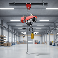 Mini Elektro-Seilzug Neuwertig 400KG Tragkraft 12M Länge Stahl Haushalt Kleiner Aufzug Hebezug für Dekoration