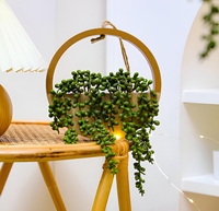 Plantes suspendues artificielles de haute qualité, personnalisables en usine, 2 pièces, simples, pour la décoration murale intérieure/extérieure