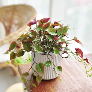 Nouvelle usine personnalisée mini petites jardinières émaillées jardinière en céramique plante fleur bonsaï pots - Product Image 5