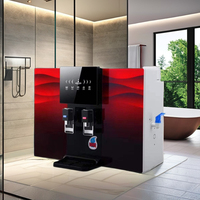 Système de filtration d'eau par osmose inverse électrique, filtration en 5 étapes, montage mural, fonction eau chaude, plastique, utilisation hôtelière, marque Wellblue