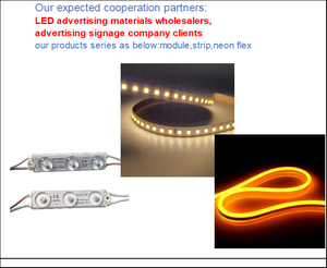 Módulo LED DC12V 180Lúmenes con alta tasa de recompra por parte de los clientes, resistente al agua y apto para uso en exteriores con un precio razonable. - Product Image 2