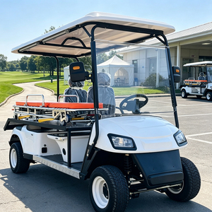 Carrello da Golf Elettrico Personalizzato per il Mercato Africano Francopone della Guinea con Barella Medica - Product Image 1