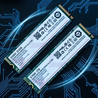 Dernier SSD interne de type M2 SATA, disque dur SSD portable de 256 Go, 512 Go pour ordinateur portable