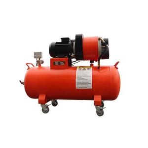 Compresor de Aire Industrial de Tornillo de 22kW Económico en Venta, de Gran Demanda, Sin Aceite, de Dos Cabezas - Product Image 2