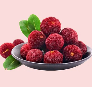 Extracto de Hojas de Bayas Rojas en Polvo, Extracto de Hojas de <span class=keywords><strong>Myrica</strong></span> <span class=keywords><strong>Rubra</strong></span>, Extracto de Hojas de Mirto (Arbutus), Empaquetado en Barriles/Bolsas - Product Image 4