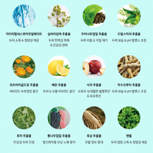 ดีท็อกซ์ ดี4 สกัลป์ โทนิค ลิควิด 200 มล. ผลิตภัณฑ์ฟื้นฟูหนังศีรษะ ป้องกันผมร่วง ช่วยเร่งการเจริญเติบโต บำรุงให้ผมเงางาม สูตรสมุนไพร - Product Image 4