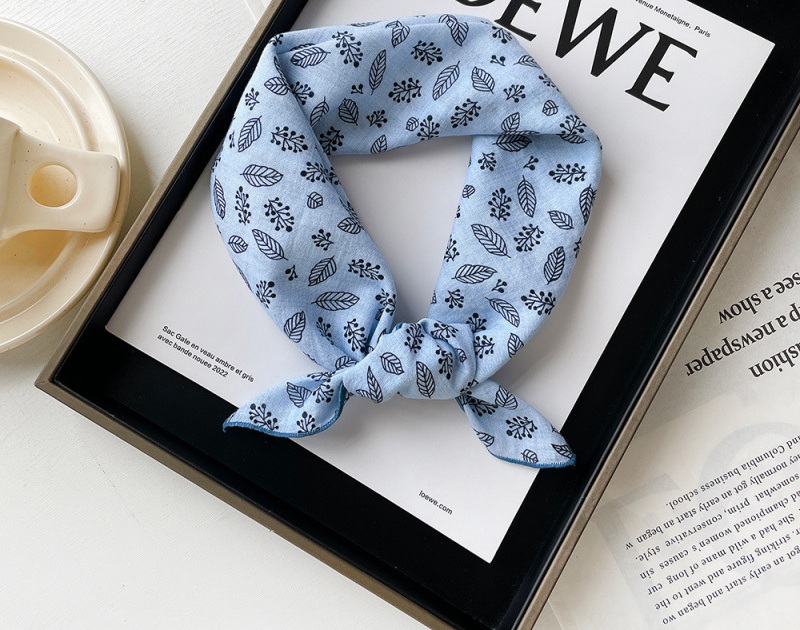 Qm58027-feuille transparente bleu