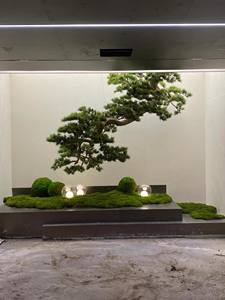 迎宾用的仿真松树，酒店会所窗户装饰，倒挂悬崖景观 - Product Image 4