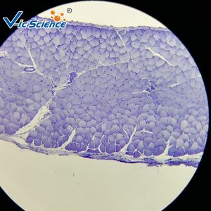 25個の基本的な医学生スライド準備された顕微鏡組織学スライド教育リソース - Product Image 6