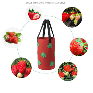 Pots de culture en tissu non tissé épais et résistants de 3 gallons, grands sacs de culture pour fraises - Product Image 4