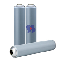 Spray insecticide d'usine, diamètre 65*300mm, boîte de revêtement, boîte aérosol, boîte en étain, boîte à oxygène