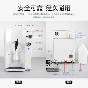 Nettoyeur à vapeur dentaire Golden Light R-501 à usage unique, électrique haute pression pour techniciens dentaires - Product Image 1