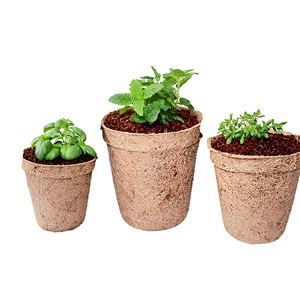 Maceta de Fibra de Coco Vietnamita al por Mayor - Maceta de Coco Ligera y Ecológica para Decoración de Casa, Granja y Jardín - Product Image 1