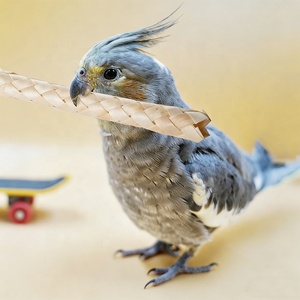<span class=keywords><strong>Jouet</strong></span> interactif durable en bambou tressé pour perroquet et <span class=keywords><strong>hamster</strong></span>, accessoire de <span class=keywords><strong>cage</strong></span> anti-ennui, <span class=keywords><strong>jouet</strong></span> à mâcher pour oiseaux - Product Image 3