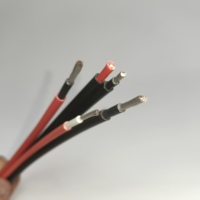 2,5mm 4mm 6mm 10mm Doppelkern Verzinntes Kupfer XLPO-Isoliertes Photovoltaik-Kabel PV1-F für Solarenergiesysteme