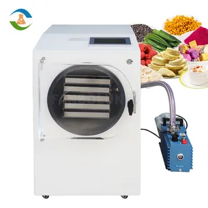 最佳价格广泛使用的水果冻干机冷冻干燥机