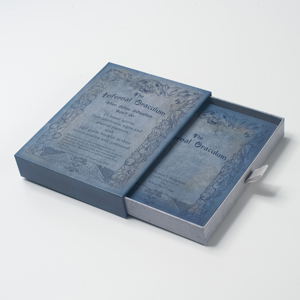 Baraja de Cartas del Tarot Infernal Oraculum, Oráculo de Fantasía, 25 Espíritus Menores, Folleto Guía, Caja de Papel Ecológica Personalizada con Acabado Mate - Product Image 2