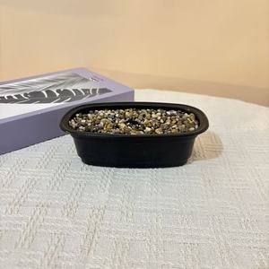 Macetas Ovaladas de Plástico con Extractos Florales, Material PP Negro, para Jardinería en el Hogar y Proyectos de Vegetación, de Sobremesa o para Piso - Product Image 4
