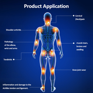 Máquina de Magnetoterapia Pulsada de Doble Manivela 4T con Pantalla Táctil de 12.1 Pulgadas y Sistema de Enfriamiento por Agua de 2.5L para Alivio del Dolor y Rehabilitación - Product Image 6