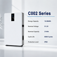 Batterie solaire LiFePO4 16 kWh pour extérieur, IP65, 51,2 V 314 Ah, hybride, communication CAN, qualité A, stockage résidentiel