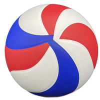 Usine chinoise OEM Volleyball Taille officielle 5 Personnalisé intérieur Micro Fiber PU Volleyball