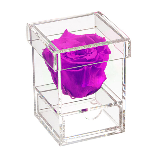 Mini: rose chaud