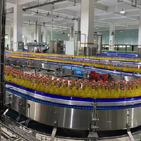 Hete Verkoop Drank Fruit Koolzuurhoudende Drank Productielijn Omvat Belangrijke Machines Met Glazen Flessen Warmtewisselaar Mixer