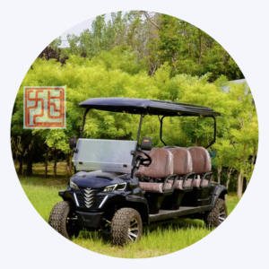 Carrito de golf profesional de 6 plazas Colores exteriores personalizables Combustible eléctrico de 48V Múltiples funciones para varias ocasiones - Product Image 1